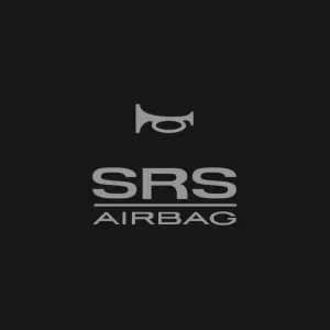 Кліше SRS AIRBAG №119-3