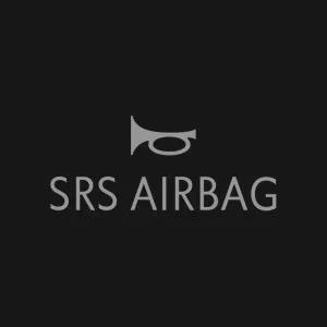 Кліше SRS AIRBAG №201
