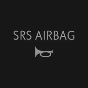 Кліше SRS AIRBAG №202